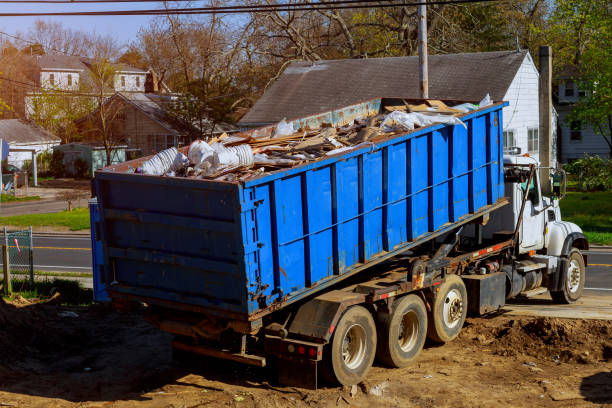 Yard Cleanup Services in Albion, IL