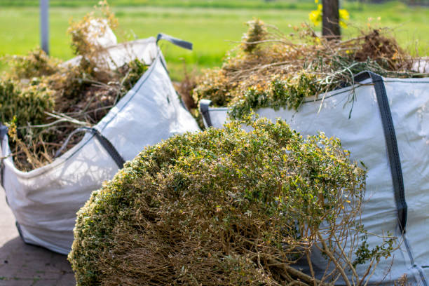 Best Yard Cleanup Services  in Albion, IL