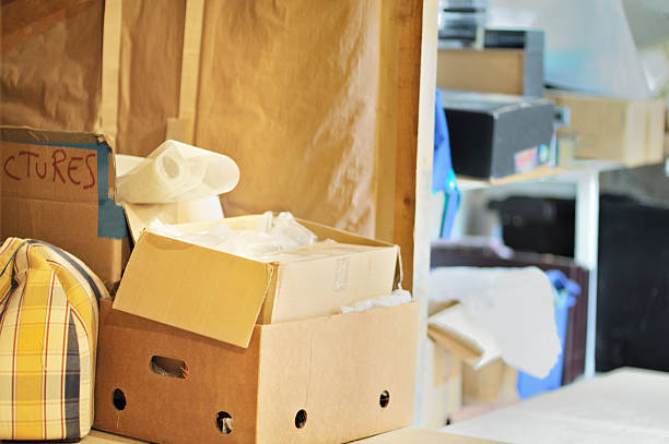 Best Professional Junk Removal  in Albion, IL